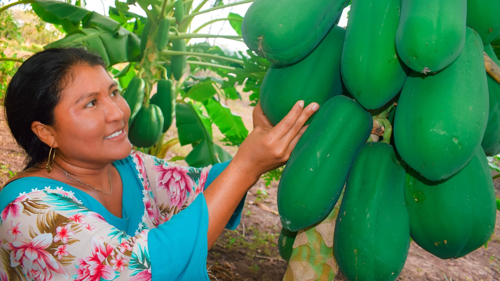 Mujer campesina en un programa de familias productivas de FIMLM